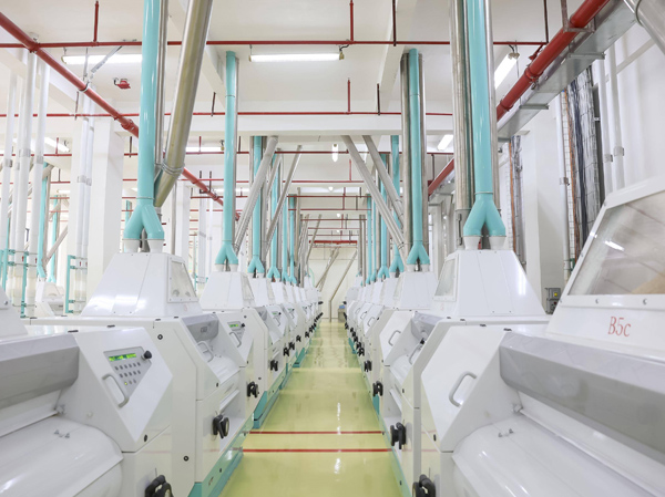 Flujo del proceso de la línea de producción automática de harina de maíz y máquina para fabricar residuos de maíz