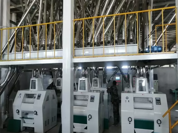 Línea de Molienda de Harina de Maíz de 50TPD