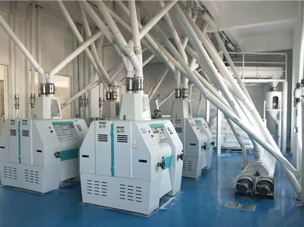 Líneas de Producción de Harina de Maíz de 200TPD-300TPD