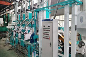 Línea de producción para molienda de maíz de 10-20TPD