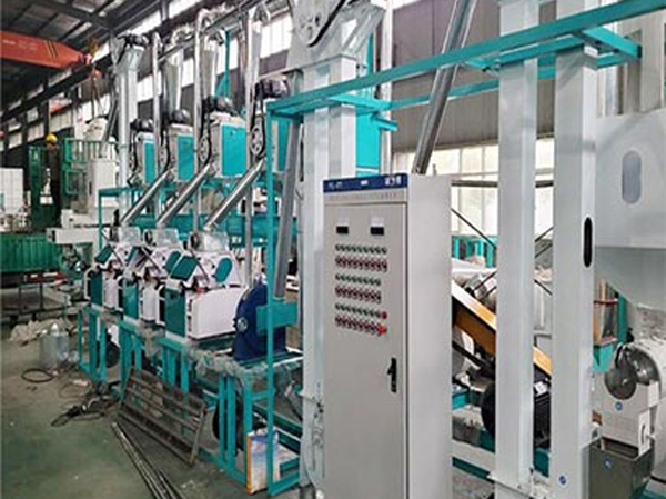 Máquina de Molienda de Harina y Granos de Maíz de 20TPD