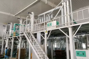 Máquina para la molienda de harina de maíz de 30-50 TPD