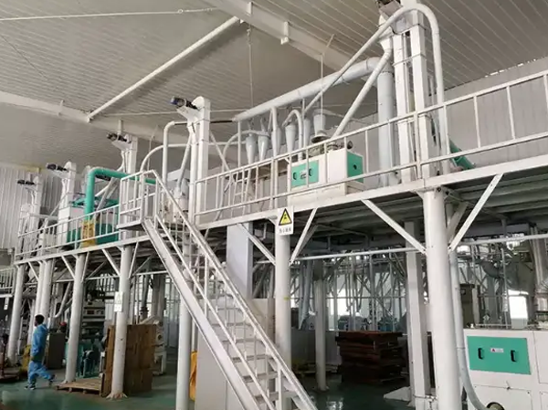 Fabricante de maquinaria para moler harina de maíz de 30-50 TPD