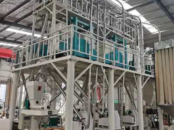 Planta de Producción de Harina de Maíz de 30 TPD