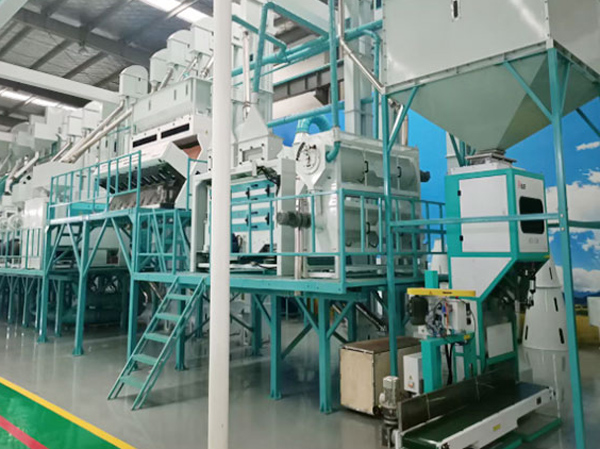 Máquina Molinera de Harina de Maíz de 80TPD