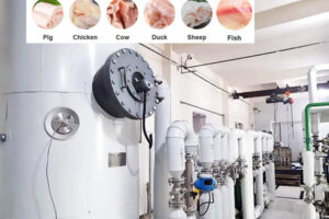 Fabricante de máquinas para la extracción de aceite de grasa animal