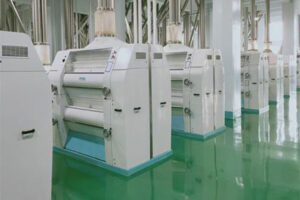 Línea de producción automática de harina de maíz