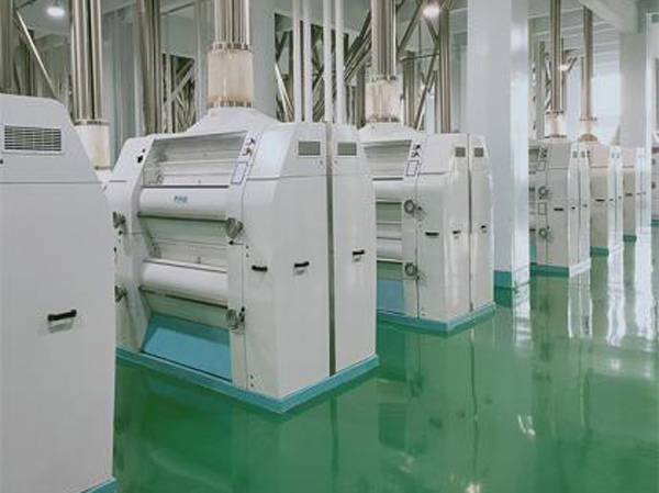 Línea de producción automática de harina de maíz