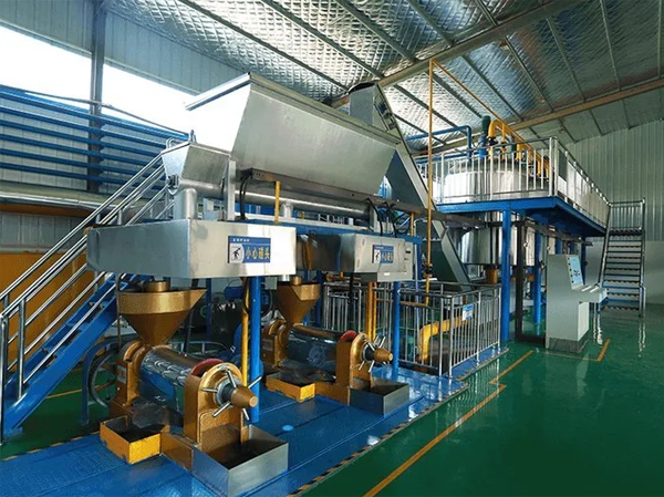 Línea de producción de aceite de girasol