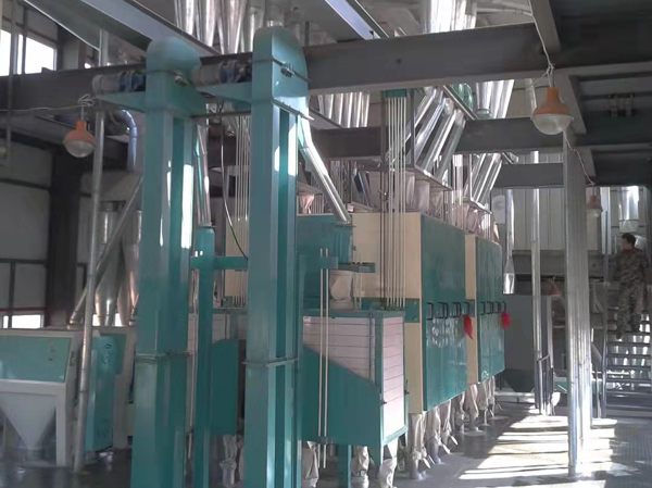 Máquina comercial para la producción de arroz molido