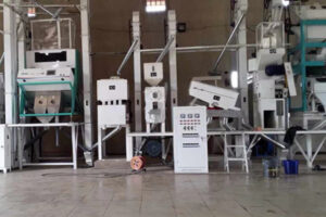 línea de producción automática de fideos instantáneos no fritos