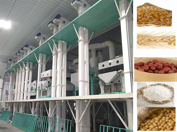 Solución para línea de producción de limpieza de semillas de cereales en China