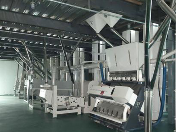 Fabricante de máquinas para el procesamiento de cereales y legumbres