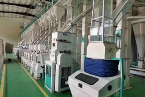 Máquina para procesar granos de café verde
