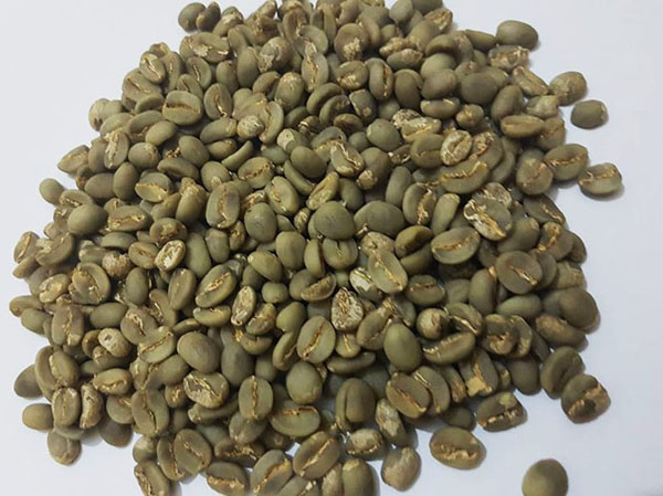 Máquina para procesar granos de café verde
