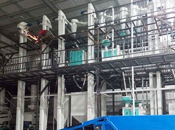 Fabricante de máquinas para procesar harina de lentejas