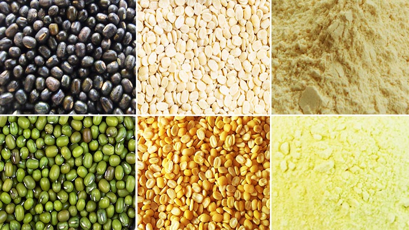 Fabricante de máquinas para procesar frijoles mungo