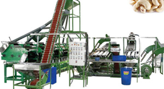 Línea de producción de nueces.jpg