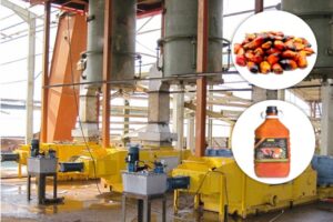 Línea de producción de aceite de almendra de palma