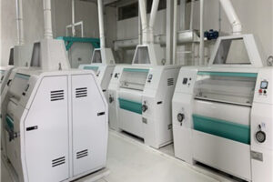 Línea de Producción de Harina de Maíz Precocida