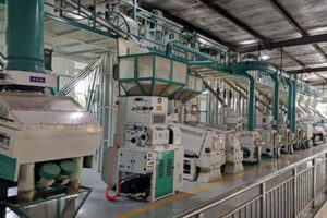 Fabricante de máquinas para procesar quinua