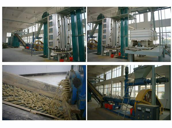 Taller de ampliación sobre el pretratamiento del salvado de arroz