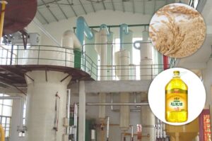 Línea de producción de aceite de salvado de arroz