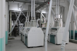 Fabricante de máquinas para procesar soja