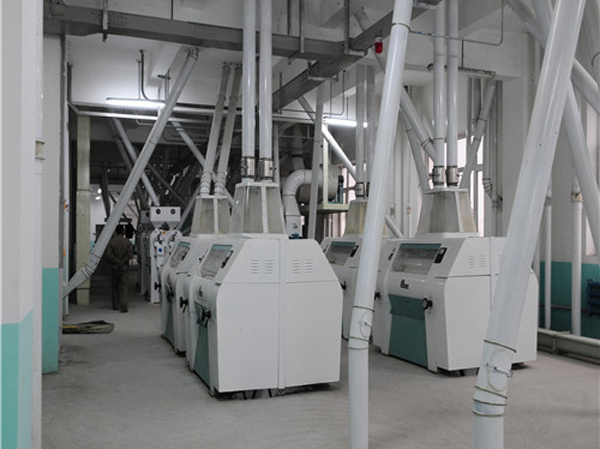 Fabricante de máquinas para procesar soja