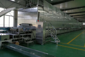 Fabricante de línea de producción automática de fideos instantáneos de almidón