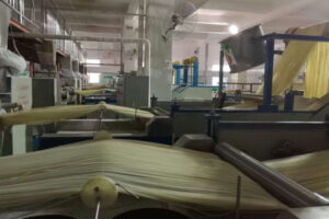 Línea de producción automática de fideos de arroz cocidos