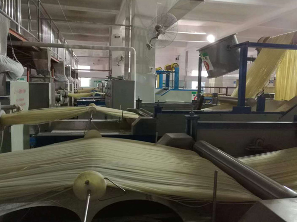 Fabricante de líneas de producción de fideos de arroz secos rectos