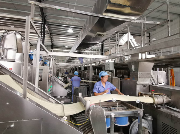 Fabricante de máquinas para la elaboración de fideos de arroz frescos al agua