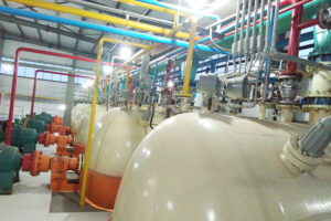 Fabricante de líneas de producción de aceite de germen de trigo