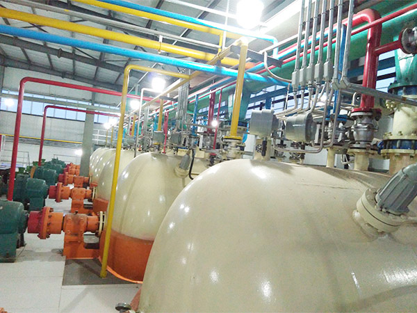 Máquina para procesar aceite de germen de trigo