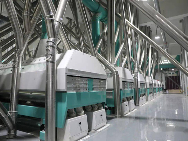 planta de producción de harina de maíz de 500 toneladas/día en Argentina