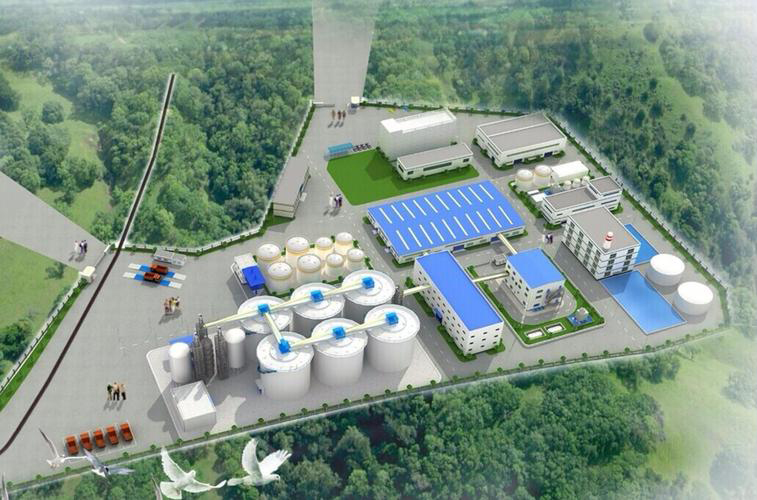 Flujo del proceso de la línea de producción de aceite de cacahuete