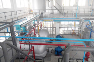 Fabricante de líneas de producción de aceite de semilla de té