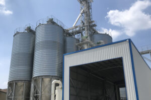 Línea automática de producción de pienso granulado para ganado