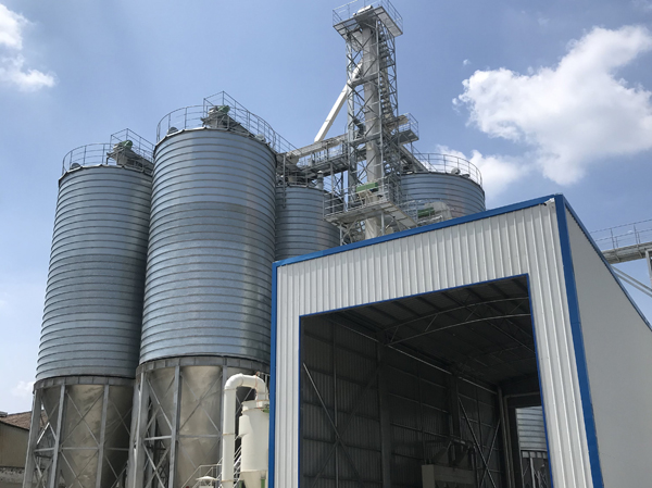 Línea automática de producción de pienso granulado para ganado