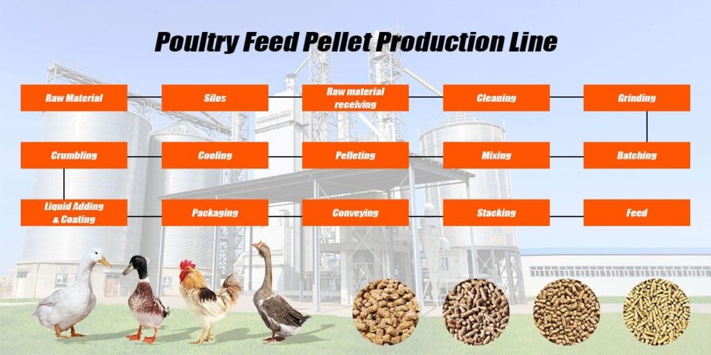 Proceso de fabricación de la línea de producción de alimento balanceado en pellet para aves