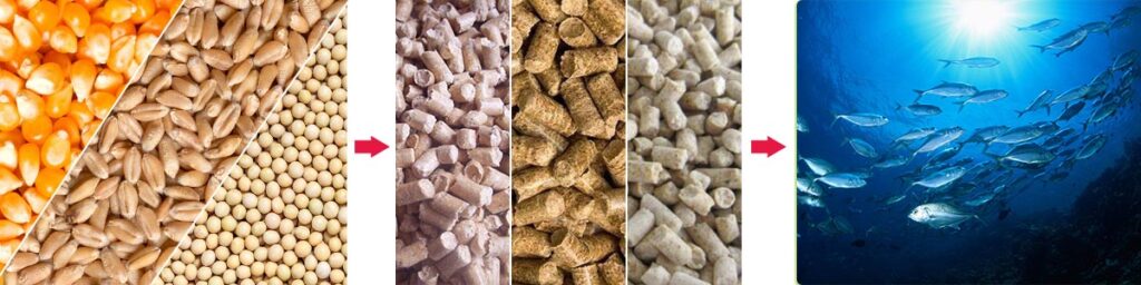 Características del producto de la línea de producción de piensos para peces