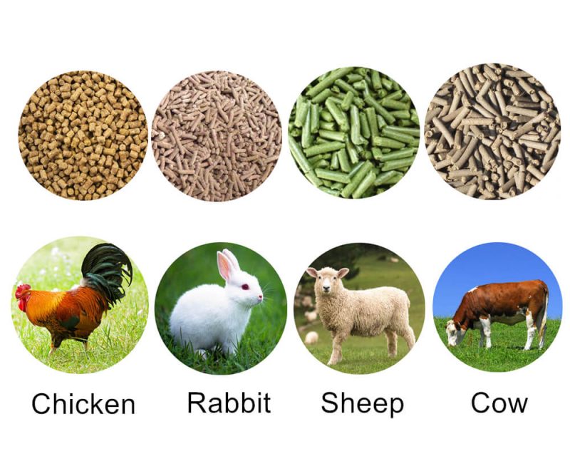 tecnología de procesamiento de piensos para animales