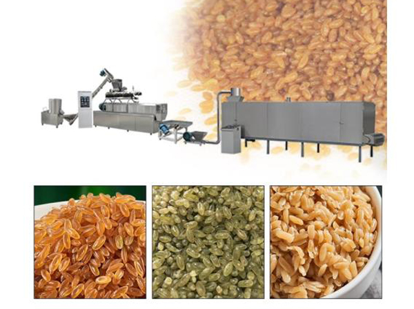 Fabricante de línea de producción de arroz compuesto para nutrición artificial