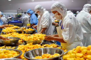 Fabricante de línea de producción automática de jugo de albaricoque, ciruela y durazno