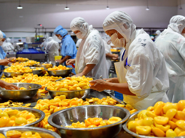 Fabricante de planta automática de producción de jugo de albaricoque, ciruela y durazno