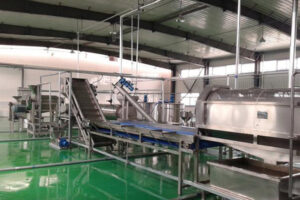 Línea de producción automática de harina de plátano macho