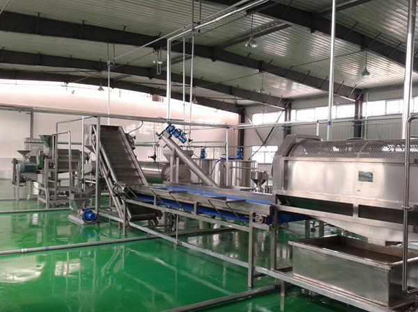 Fabricante de líneas automáticas de producción de harina de plátano macho