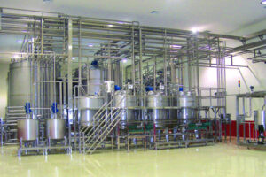 línea de producción automática de zumo de arándanos