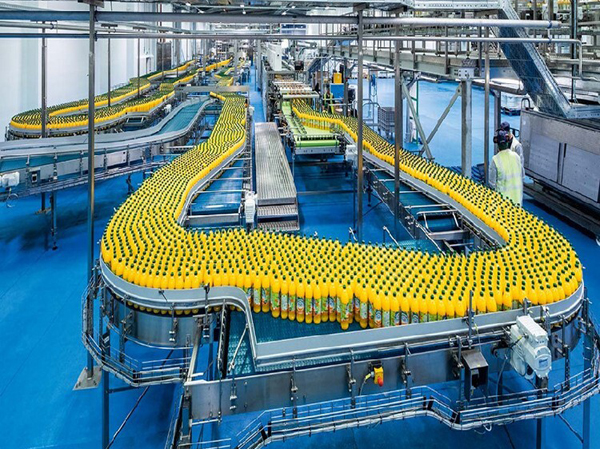 Fabricante de línea de producción automática de jugo fermentado